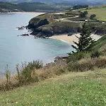 فيلة Auristela