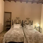 Auristela نافيا