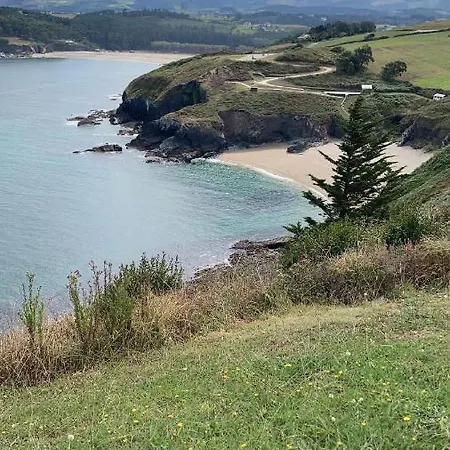 فيلة Auristela