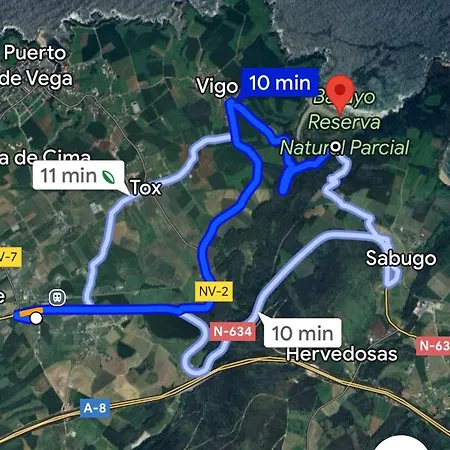 فيلة Auristela نافيا