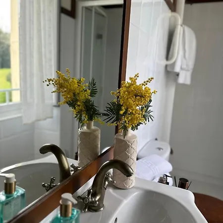 Auristela וילה נאביה