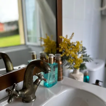 Auristela נאביה