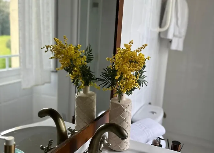 Auristela Βίλα Navia